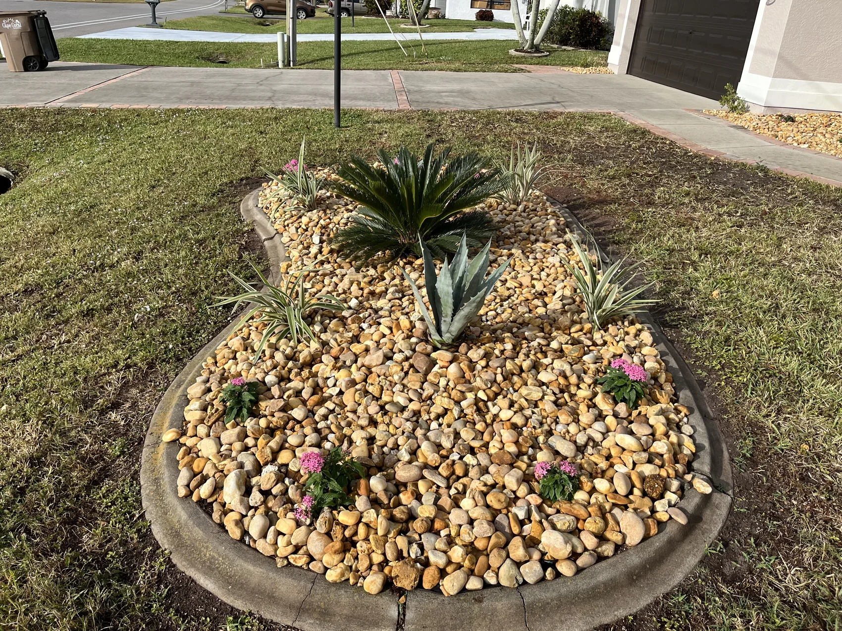 Modern Rock Garden — Landscape Design in Cape Coral, FL