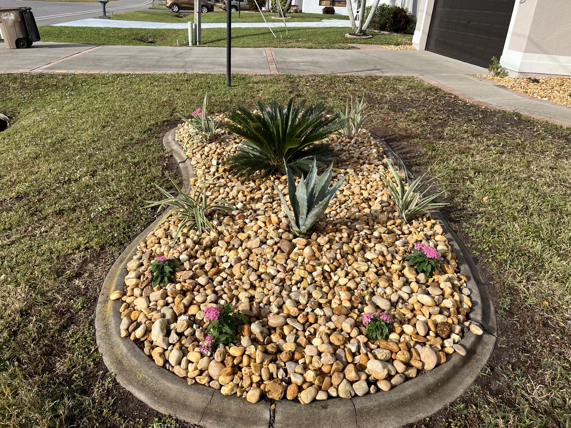 Landscaping by Blue Collar Q, Cape Coral FL — photo 3