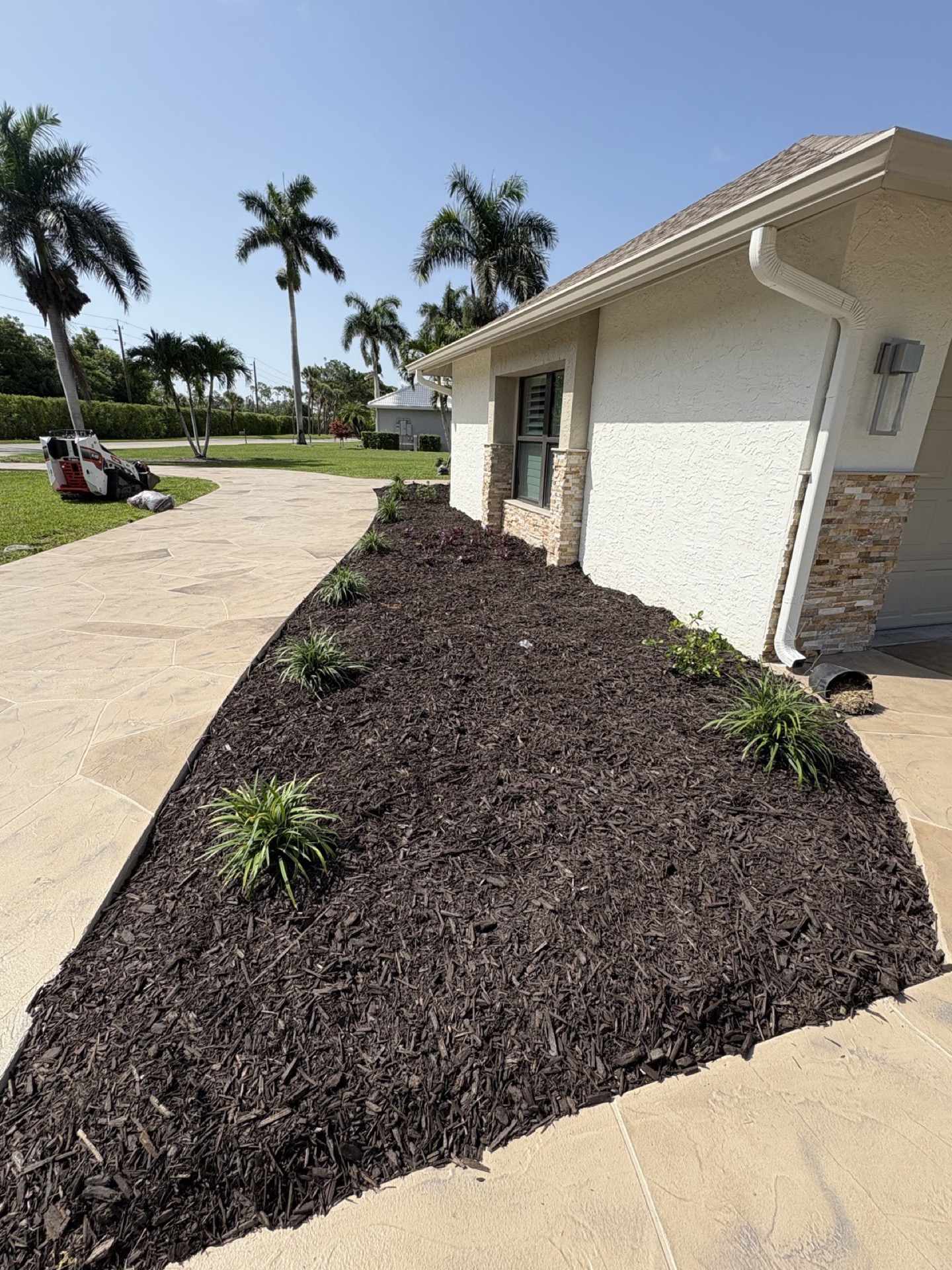 Landscaping by Blue Collar Q, Cape Coral FL — photo 4