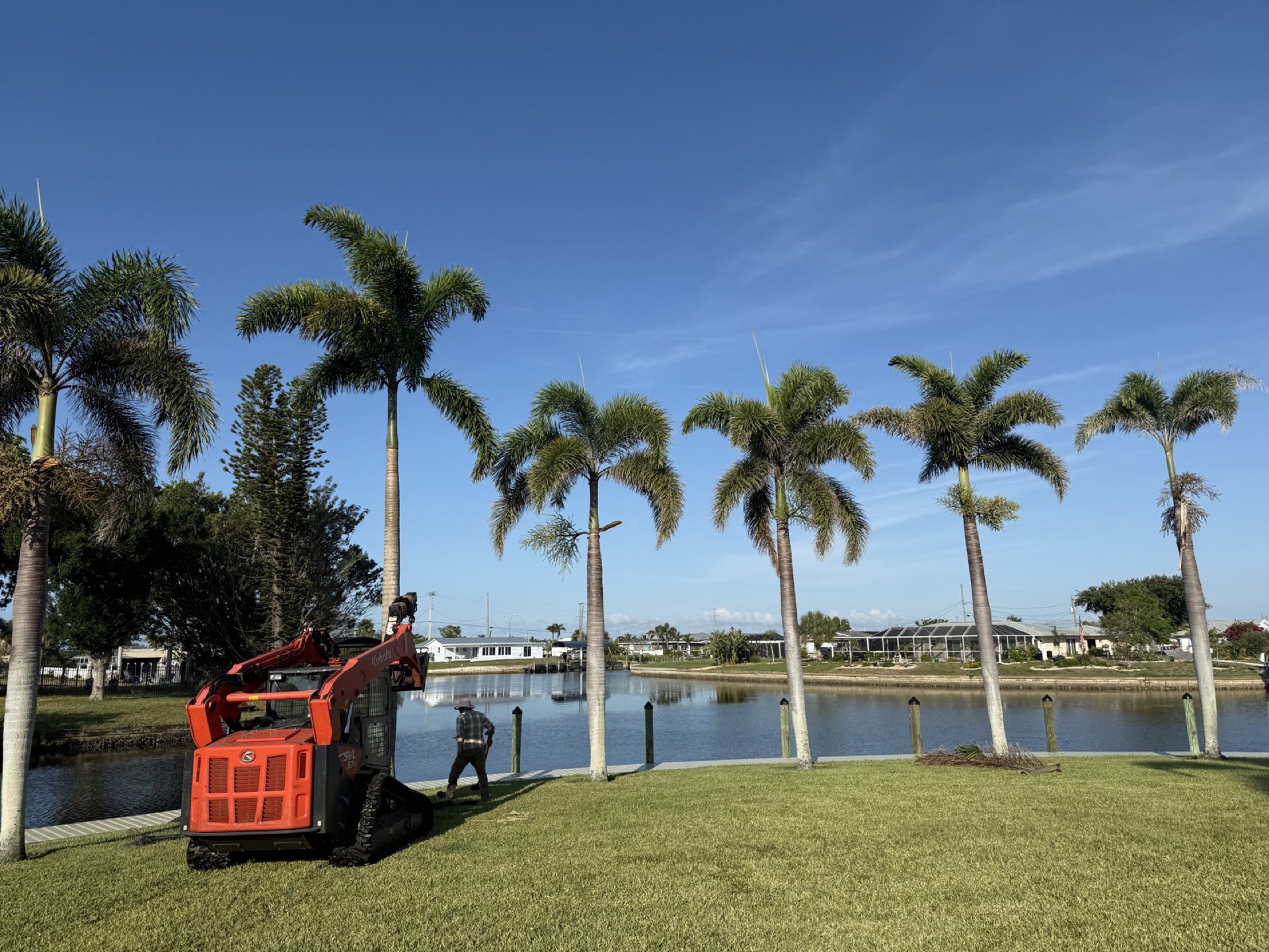 Trees & Shrubs by Blue Collar Q, Cape Coral FL