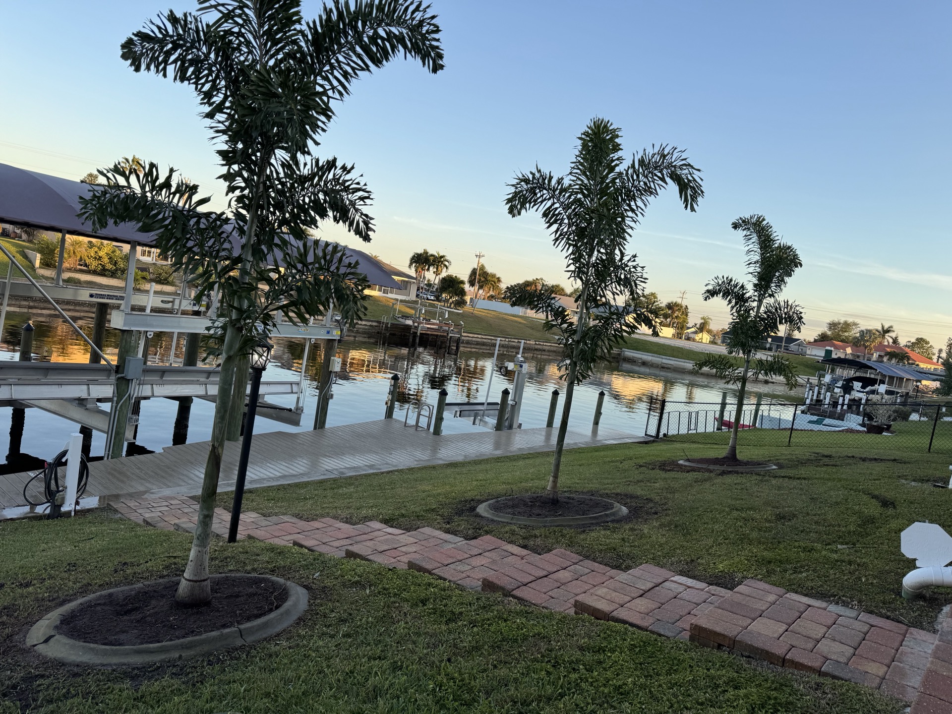 Trees & Shrubs by Blue Collar Q, Cape Coral FL — photo 2