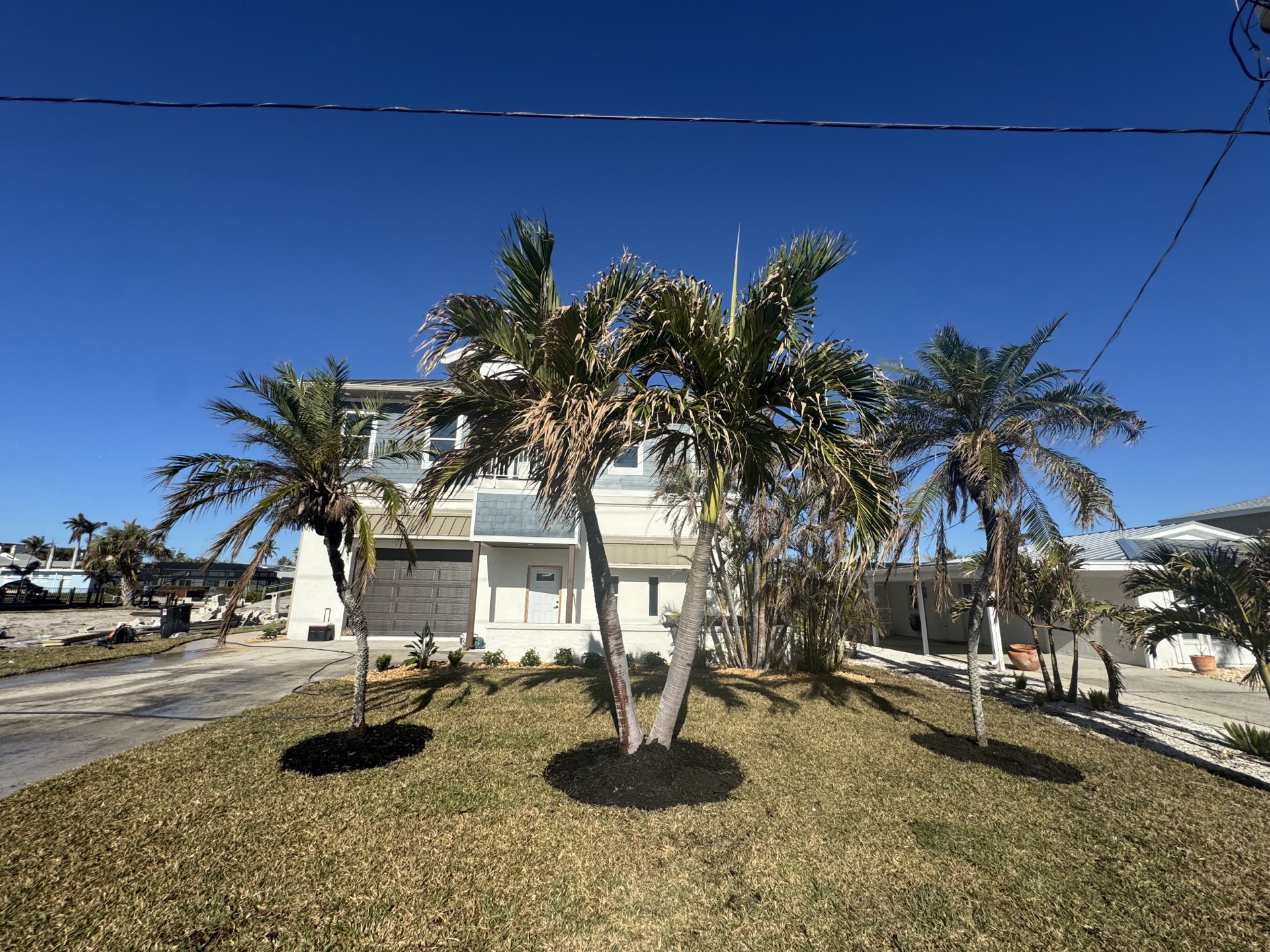Trees & Shrubs by Blue Collar Q, Cape Coral FL — photo 3