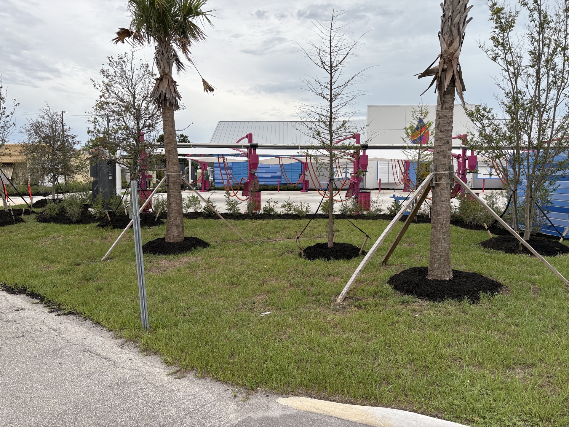 Trees & Shrubs by Blue Collar Q, Cape Coral FL — photo 4